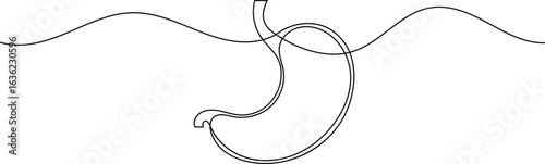 Human stomach icon continuous one line drawing for anatomy and medical design concepts