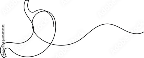 Human stomach icon continuous one line drawing for anatomy and medical design concepts