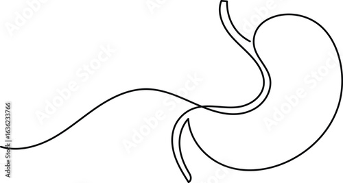 Human stomach icon continuous one line drawing for anatomy and medical design concepts