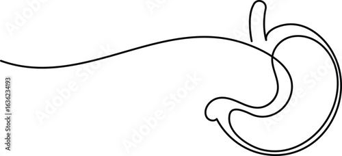 Human stomach icon continuous one line drawing for anatomy and medical design concepts