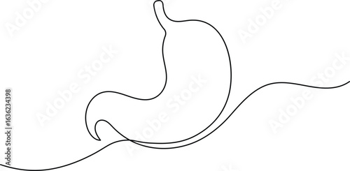 Human stomach icon continuous one line drawing for anatomy and medical design concepts
