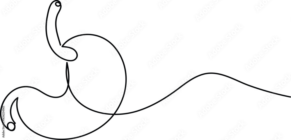 Fototapeta premium Human stomach icon continuous one line drawing for anatomy and medical design concepts