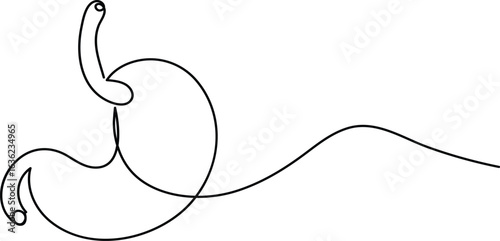 Human stomach icon continuous one line drawing for anatomy and medical design concepts