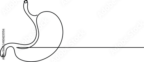 Human stomach icon continuous one line drawing for anatomy and medical design concepts