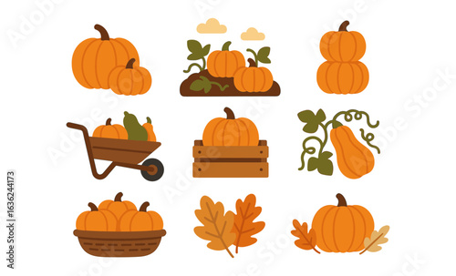 Autumn harvest collection with pumpkins and fall leaves in flat design