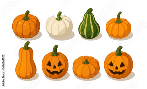 Colorful variety of pumpkins and gourds in isometric style for autumn and halloween designs