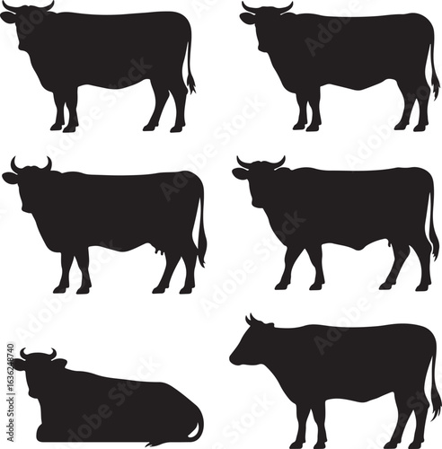 Six Black Cow Silhouettes Standing and Lying Down on White Background cattle bovine
