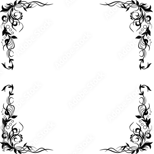 black and white floral frame