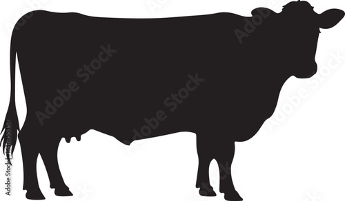 Black silhouette of a standing cow on a white background animal livestock