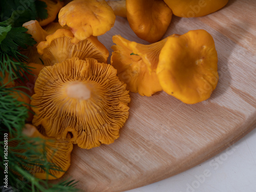 Fresh chanterelle mushrooms with parsley and dill on wooden board


