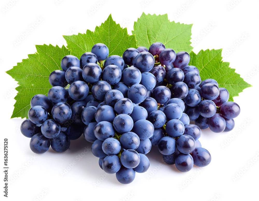 Fototapeta premium Fresh, plump purple grapes with leaves