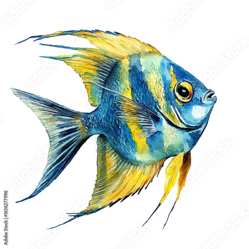 Angelfish, watercolor illustration vector, isolated on a white background.