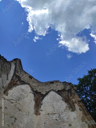 Tableau sur toile Ruins of the Pauline Monastery