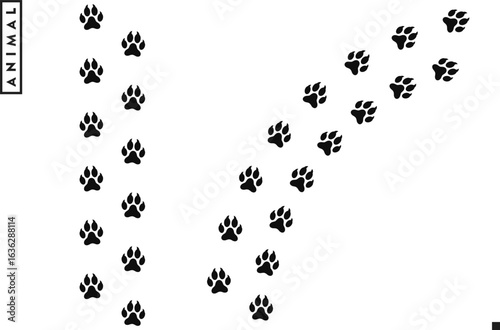 Wolf paw prints. Animal paw prints. Arctic wolf vector  