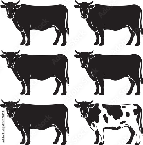 Six Black Silhouette Cows One Spotted Cow on White Background Keywords: cow, cattle, livestock