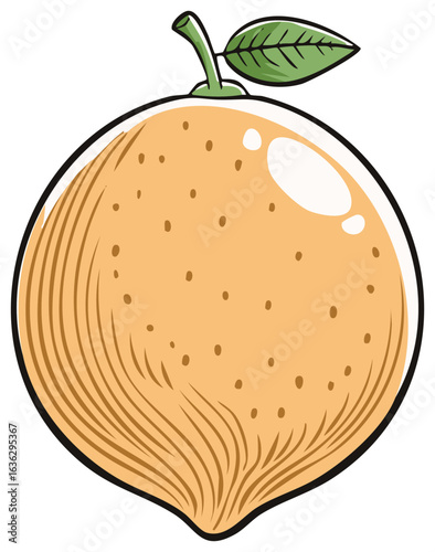 Hand Drawn Illustration of a Round Citrus Fruit with a Leaf and Stem in Cartoon Style