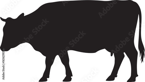 Black Silhouette of a Cow Grazing on Grass on a White Background cattle livestock
