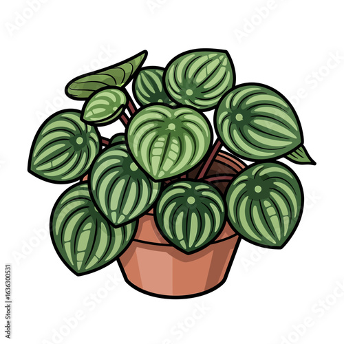 Striped houseplant in a pot illustration