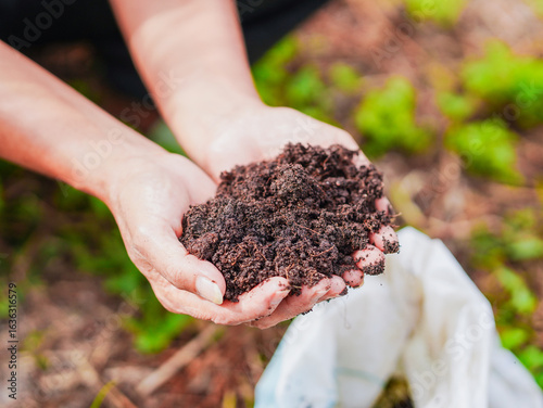 Tableau sur toile Close up hand holding soil compost in garden concept green energy, environment nature, organic