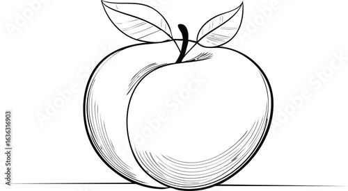 tomato isolated on transparent png vector.juicy, red, tomato, food, fruit, ingredient, organic, ripe, vegetable, clip art, graph, sphere, colors, cut out, droplet, lifestyles, moisture, produce,