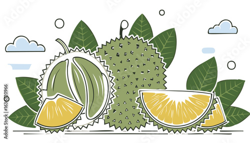 durian isolated on transparent png vector.fruit, southeast, durian, food, ingredient, organic, ripe, king, nourishment, of, open, tasting, color image, flesh, isolated, large, malaysian, photography, 