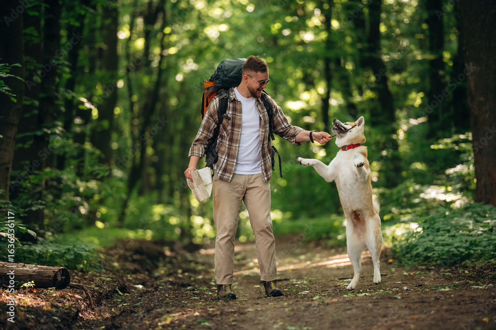 Obraz premium Doing the tricks by using stick. Man tourist is with his dog in the forest