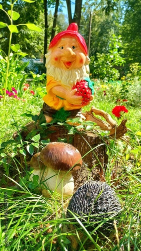  A cheerful, colorful garden gnome statue sitting on a tree stump in a lush green garden. The gnome has a big smile, a white beard, and is holding a bright red strawberry. Below him are two mush