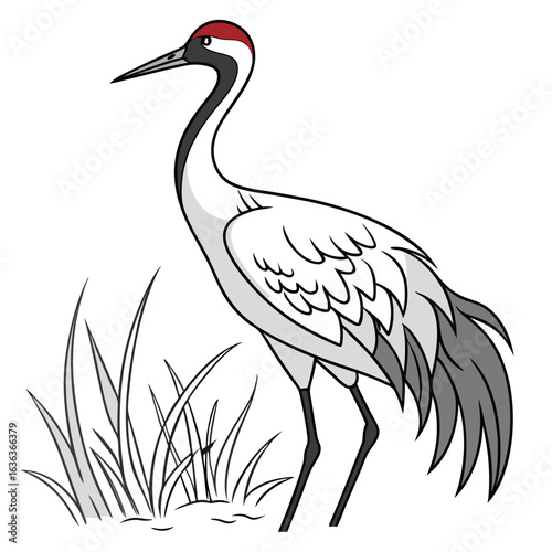 heron on a white background