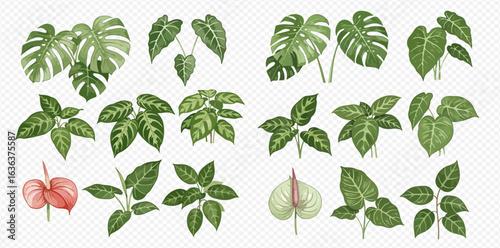A collection of illustrated tropical houseplants like Monstera, Anthurium, and other leafy foliage, isolated for design.