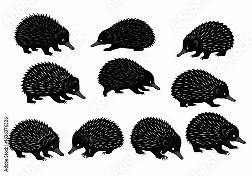 Vector illustration featuring multiple stylized black echidnas with spiky quills in various poses, isolated on a clean white background.