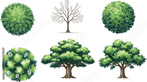 Tree and bush illustration set, green foliage clipart, bare tree vector, floral shrub artwork, nature plant design, landscape elements