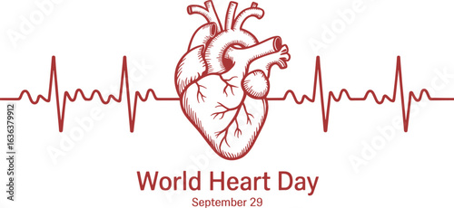 Red anatomical heart with electrocardiogram lines and World Heart Day text world heart day 2025 2026 image poster banner label social media post t shirt design logo vector download