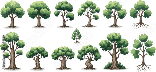 Tree illustration set, diverse trunk and canopy shapes, botanical vector clipart, forest plant design, nature artwork, ecology graphic pack