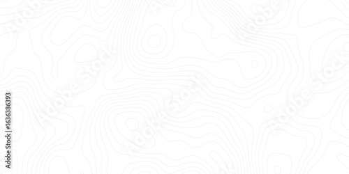 Elegant white contour map design with flowing elevation lines, blending science, technology, and art into a seamless visual experience.