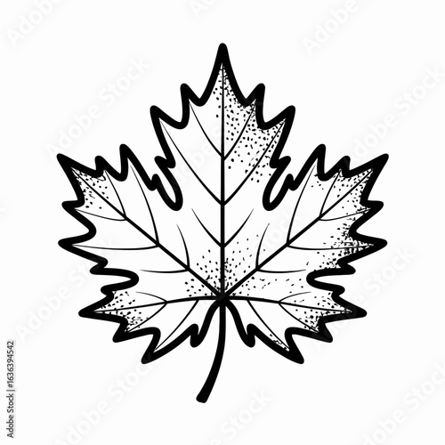 A detailed black and white maple leaf sketch illustration in a vintage woodcut or engraving style with stippling texture.