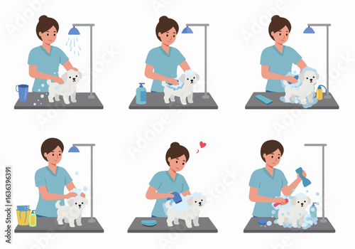 A step-by-step illustration of a professional dog groomer bathing a small white fluffy dog, showcasing the complete pet washing process.