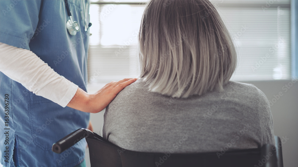 Obraz premium Healthcare worker with elderly patient in wheelchair