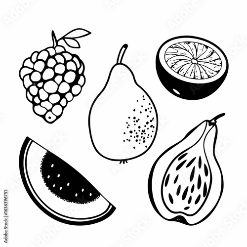 set of fruits vector
