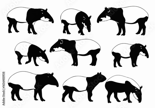 Collection of Malayan Tapir Black and White Graphic Designs