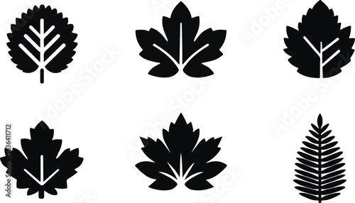 Collection of black leaf silhouettes on white background