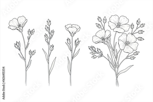 Black and white line drawing of flax flowers and buds on white background linen bloom