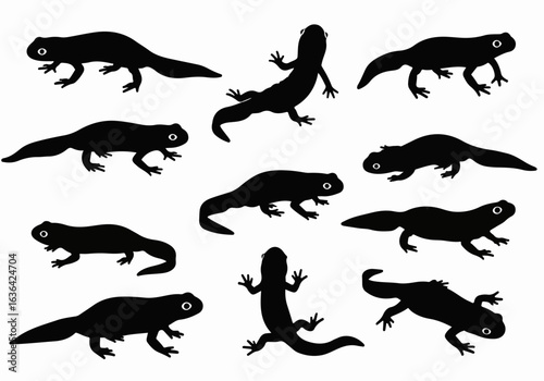 Collection of black newt and salamander silhouettes with white eyes on a white background, displaying various poses of these amphibians.