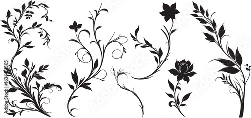 silhouette Ivy flower set, Ivy Vector, climbing ivy creeper branch isolated on white background vector