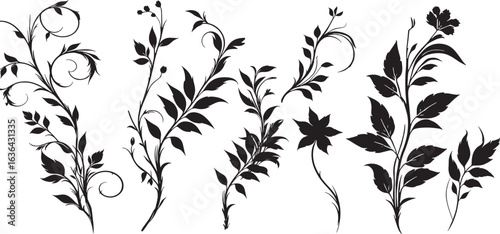 Jungle creeper silhouettes. Tropical forest lianas, rainforest hanging sprouts. Climbing liana vines flat set vector