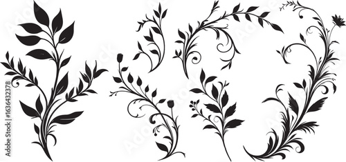 Curly branches with leaves  silhouettes isolated on white background. Vector illustration