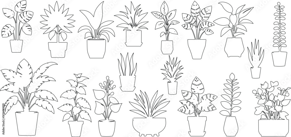 Fototapeta premium Houseplants. Vector set of outline drawings plants, Indoor flowers with stems and leaves. plant for home and interior, vector