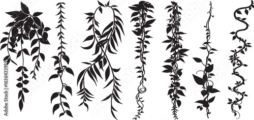 jungle lianas branches silhouette, tropical forest climbing sprouts. Rainforest garden hanging liana vines elements vector illustration set