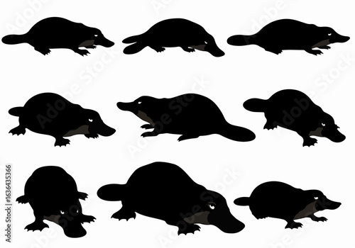 Collection of Black Platypus Silhouettes in Various Poses, Isolated on a White Background