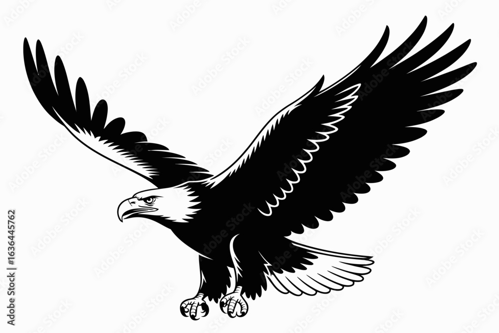Fototapeta premium Vector art of bald eagle flying with wings spread isolated on white background, a symbol of freedom, power and strength in american wildlife