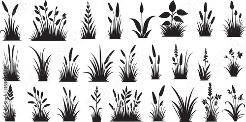 Set of grass line cad and silhouettes isolated on white background. Ground cover. Illustration for elevation architectural element, side view, grass section vector